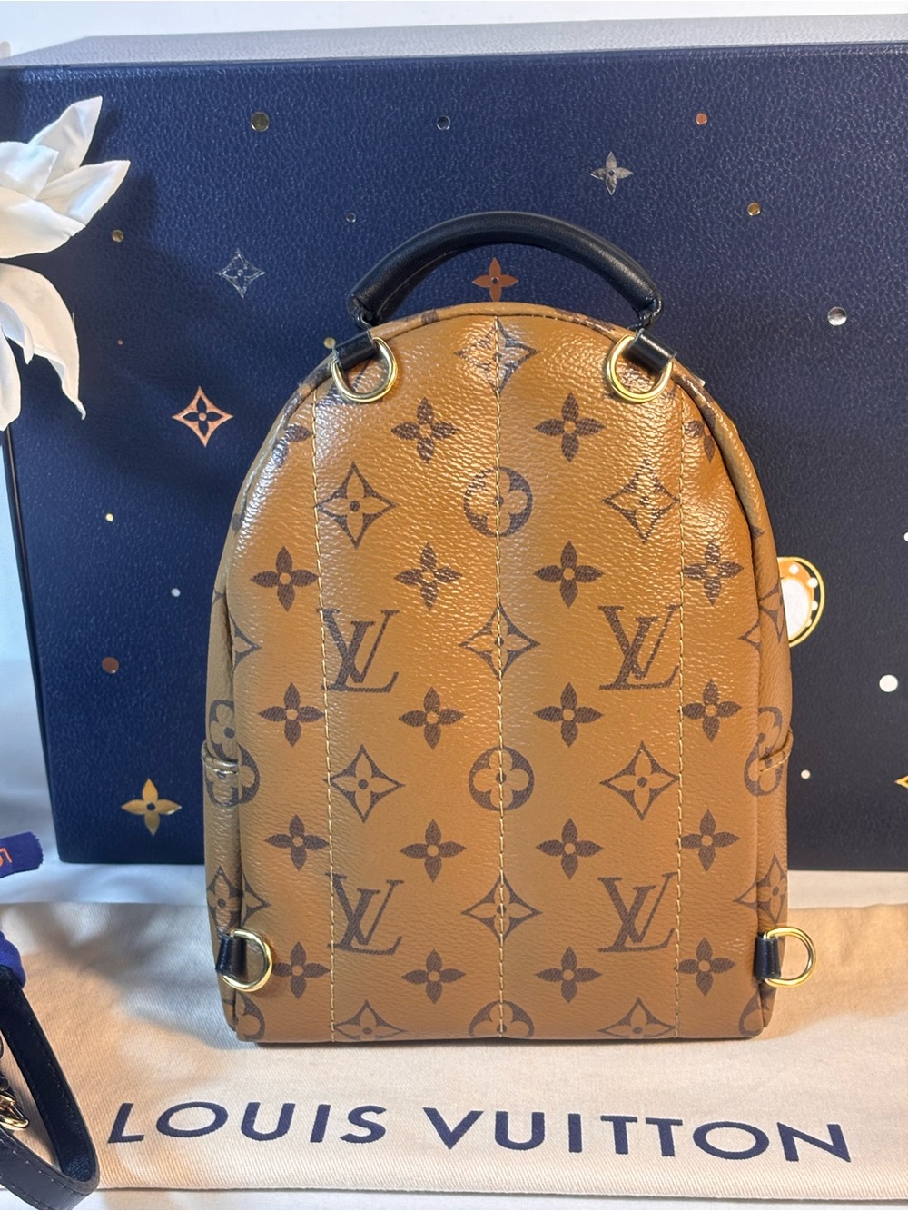 Louis Vuitton Reverse Palm Springs Mini - Picture 2 of 16
